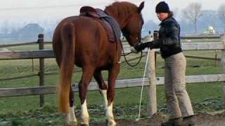 Werken aan de hand aanleren travers [upl. by Dhumma454]