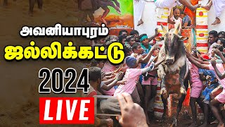 🔴அவனியாபுரம் ஜல்லிக்கட்டு நேரலை  Jallikattu Live 2024  Avaniyapuram [upl. by Akessej]