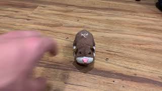 Zhu Zhu Pets Review  Scoodles [upl. by Ezalb623]