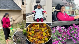 Spring shopping vlog  Lia’s doctor appointment chilli paneer recipe  USA Tamil vlog [upl. by Eiba]