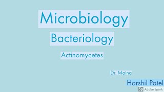 BacteriologyActinomycetes [upl. by Rovner]