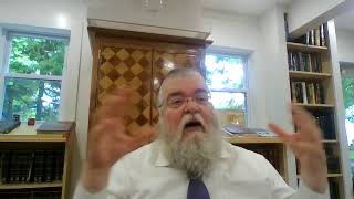 Wearing NonKosher Tefilin [upl. by Nauqahs663]