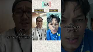 APT Versi Sunda dan Jawa fyp trending tiktok idtiktok [upl. by Atteuqram]