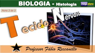 Tecido Nervoso parte 2 de 2  impulso nervoso e sinapses Completíssima fisiologia vestibular [upl. by Layol]