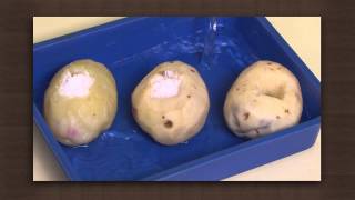 Potato experiment  Osmosis  Biology [upl. by Vivianne409]