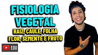 FISIOLOGIA VEGETAL  Aula de Biologia│ RAIZ CAULE FOLHE FLOR SEMENTE E FRUTO [upl. by Anertac]