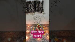 तुलसी विवाह tulsi tulsivivah akadashi minivlog shortfeed kirtansharma viralshorts [upl. by Kapoor]