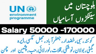 Balochistan Pakistan UN Jobs 2023  UN Jobs in Pakistan  UN Job vacancies 2023 [upl. by Nyrrad]