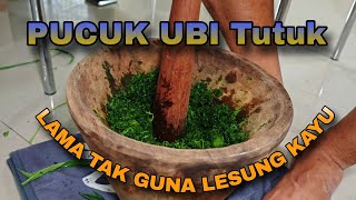 LAMA DAH TAK BERTUMBUK DAUN PUCUK UBI NI😜😜 [upl. by Bobbee]