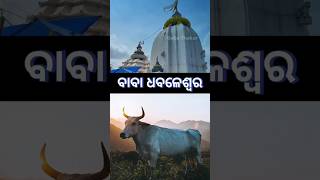 ବାବା ଧବଳେଶ୍ୱର ମନ୍ଦିର  Baba Dhabaleswar Temple  Sandeep Ojha vlogs Odisha vlogs [upl. by Enilehcim]