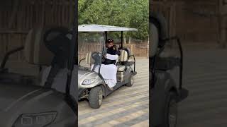 Monkey drives golf cart lion hyena animals hyenas [upl. by Dorise852]