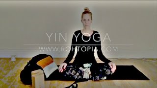 Yin Yoga Stunde  50 Minuten Loslassen und Entspannen [upl. by Gney401]