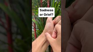 Chinese Medicine Acupoint for Grief [upl. by Ocinom]