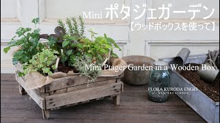 寄せ植え／mini ポタジェガーデン【春のガーデニング】ハーブの寄せ植えフローラ黒田園芸4K ULTRA HD [upl. by Akkin]