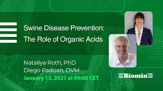 Swine Disease Prevention  The Role of Organic Acids [upl. by Adal]