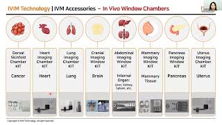 EN Intravital Imaging for Immunology and Neuroscience Webinar and Virtual Demonstrations [upl. by Ennaoj]