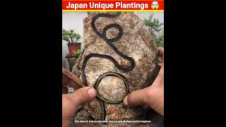 Top 3 Amazing Facts Japan Unique Planting🤯  EP69MRINDIANHACKER CrazyXYZ shortsfactsshort [upl. by Gilford]