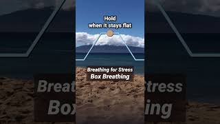 Breathing for Stress Box Breathing [upl. by Ilysa]