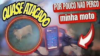 QUASE FUI ATACADO POR UM BOI TRABALHANDO DE UBER E 99 MOTOS [upl. by Lativa]