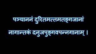 YT06 Shri Vishwanathashtakam [upl. by Adlitam947]