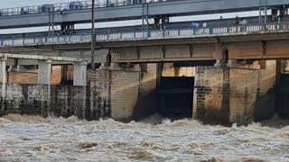 Fish Catch at Indrapuri Barrage [upl. by Raquel936]