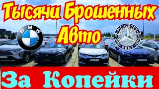 Тысячи БРОШЕННЫХ АВТОМОБИЛЕЙ Отдают за Копейки  😱🚘👍 [upl. by Dympha]