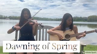 Dawning of Spring  Anson Seabra  Violin and Guitar Cover [upl. by Gnilyam]