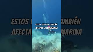 Terremoto en las profundidades ocean sabiasque ciencia [upl. by Kiona]