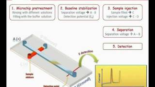 Microchip Electrophoresis  MicruX [upl. by Eneirda]