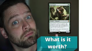 How do I identify a Magic Card  Card value and set identification [upl. by Elsy]