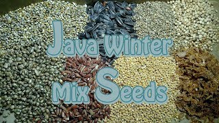 Java Winter Mix Feed  Winter Mix Seeds  Best Diet For Java Birds  Urdu Hindi [upl. by Trellas203]