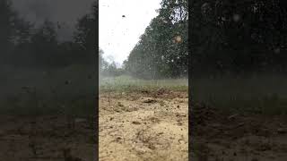 Slow Motion 12 Gauge Slug vs Watermelon 81724 [upl. by Alleunam727]