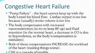 Cardiovascular Disorders  Part 2 [upl. by Adnahsam]