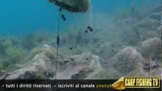 Come PESCARE con un SACCHETTINO in PVA parte 2di2  CarpFishing TV [upl. by Jacinthe]