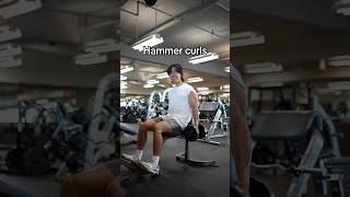 Best Way to do Hammer Curls [upl. by Ahsemal]