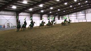 Tumwater High Equestrian Drill Team 2011 takes First Place at WAHSET State Competition [upl. by Jock]