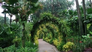 Visiting the Botanic Gardens  Singapore Travel [upl. by Ecar]