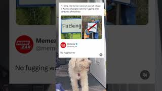 That’s not the best memes funny dogmemes memesdaily memespic memearchive newmemes [upl. by Nerta]