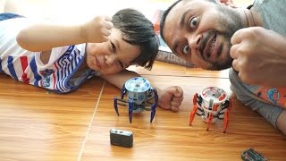 Battle Spider Hexbug Battle Spiders Arish Vs AliShanMao [upl. by Goodden]