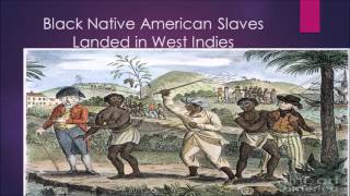 Indian Triangular Slave Trade [upl. by Ahtrim]