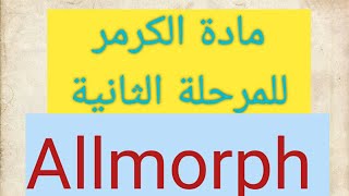 موضوع Allomorphمادة الكرمرمرحلة ثانية قسم اللغة الانكليزية [upl. by Martynne]