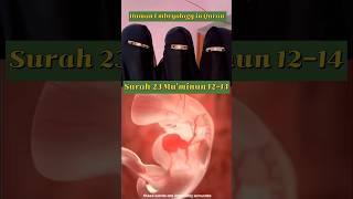 Human Embryology in the Quran  Surah Muminun Verse 1214 the sperm in to clot best creator Allah [upl. by Nehepts]