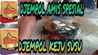 Djempol amis spesial amp keju susu penguras empang  mantul [upl. by Kaehpos797]