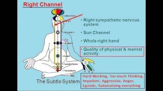 Sahaja Yoga Chakra Chart amp Introduction [upl. by Kittie]