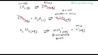 Biochemistry Lecture 3 Physiological Buffers [upl. by Natasha]