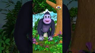 পাহাড়ি গোরিলার গান shorts savethegorilla ChuChuTV BanglaRhymes learningsongs animalshorts [upl. by Navinod]