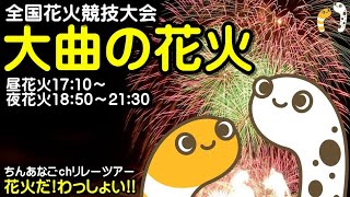 大曲の花火 全国花火競技大会 行くぞー 昼花火17101800 夜花火1850～2130 18000発 ライブ配信【ちんあなご】花火だわっしょい2024 [upl. by Jayson652]