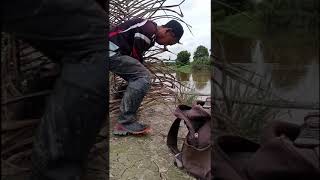 Petualagan mancing kelabau sugai pencaklubi [upl. by Rehpotsihc]