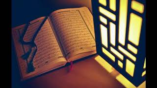 Abdulwali AlArkani Surat Al Hujurat Chapter 49  Quran Recitation [upl. by Dnalyar]