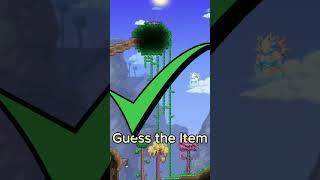 Guess the Terraria Item 26 terraria gaming guesstheitem [upl. by Elrak]